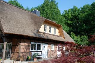 Ferienwohnung am Eichenpark, Lüneburger Heide - 7
