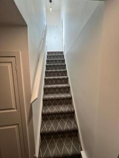 1 Bedroom basement Suite in Junction Bloor West Village - 1