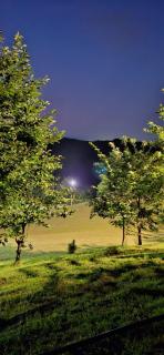 Villa Alfa Sharr - 7