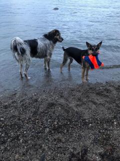 The Kalamoir Suite - 9