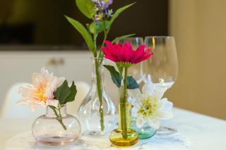 Nova Freiburg Dunantstraße - 7