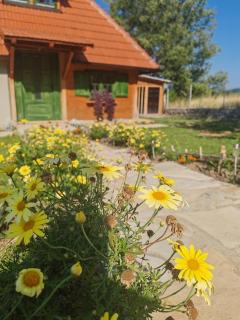 Domacinstvo Majovac - 5