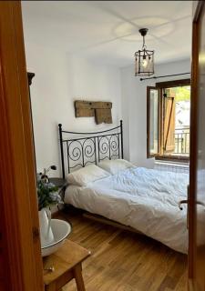 Chalet Hoz de Jaca - 9