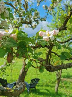 Auwer Hills - On dr Schür - 3