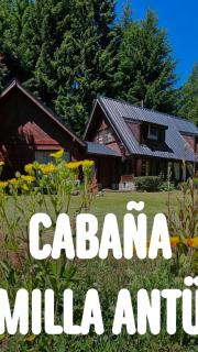 Cabaña Milla Antü, Villa la angostura - 3