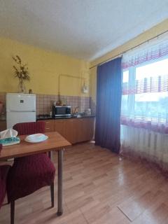 Гагарина апартаменти - 4