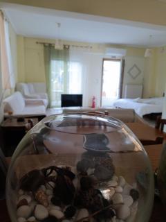 Paradise comfortable apartment - 5