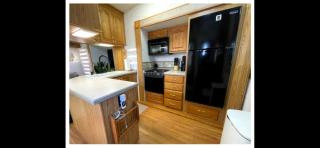 Luxury Glamping Retreat in Minden Louisiana - 4