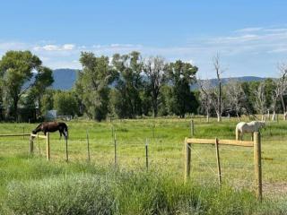 3 King Beds Spacious 4 BR 3 BATH AC Near Jackson - 9