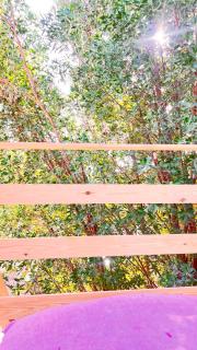 Nona's Tree House - 4
