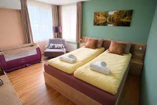 Guest House Todor - 9