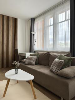 Smarty Choice Living with FREE PARKING - Vondroušova - 9