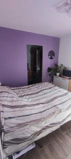 Maison 4 chambre 11personnes grand jardin - Donges - 9