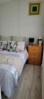 Southern New Zealand Comfort and Value Without the Cost, Host with the MOST near Gore - 2