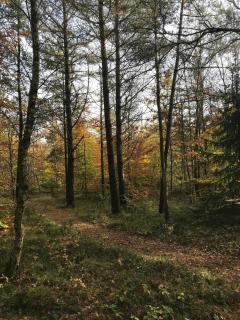 Holiday Home In The Forest Close To Water - 9