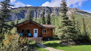 Little Bear Getaway Cabins - 7