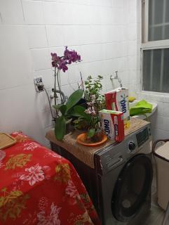 Apartamento 2 quartos excelente localização - 7