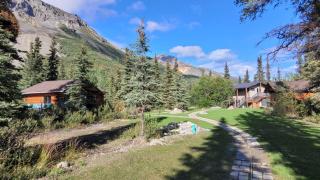 Little Bear Getaway Cabins - 1