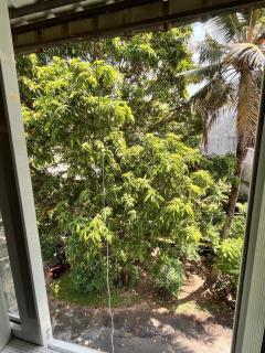 Enjoy the newly renovated home - 6