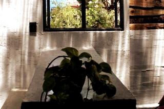 Luminoso exuberante y hermoso refugio - 5