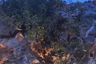 Villa Petros Luxe Villa met privé zwembad - 3