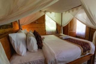 Jungle Breeze Hideout - 1