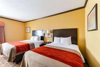 Quality Inn & Suites Lubbock South - 1