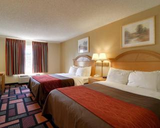 Quality Inn & Suites Malvern - 7