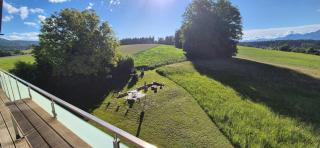 Apartment Dachgeschoss - 3