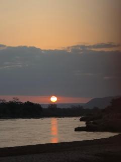 Aam Altair - The Domestead - 4