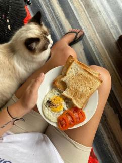 Tunnel Gap Homestay - 7