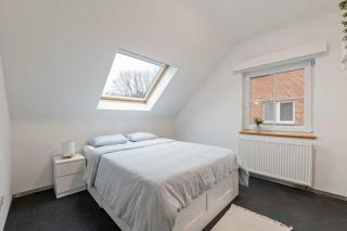 Ruime vakantievilla in Halen voor 12 personen - 4