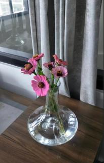 Tanmay residency - 4