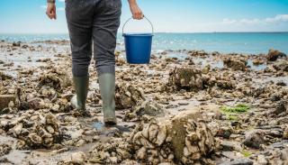 Beachside Room for 2 - Close to the shore - 3