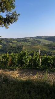 Beautiful private house among the Moscato vineyards - 7