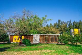 The Orange House - 6