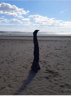 Acoran Family Ocean View Guest House with Daily Yoga included North Gran Canaria PET FRIENDLY - 1