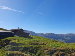 Tirolee Marchegg - 1