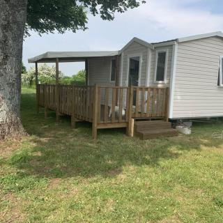 Le Pluvier des Fougères - 6