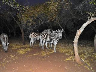 Optibos - 3 Bedroom Holiday Home 6 Sleeper - 5