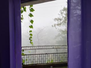 SRC Trancient & Homestay - 8