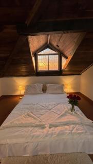 Abraham's 4 BHK villa, By Gonserv - 5