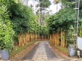 ARAMAM SERVICE VIlla - 4