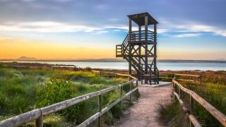 4BR apartment 300 meters from La Mata beach - 9