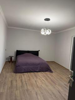 VERA Gogebashvili - 2