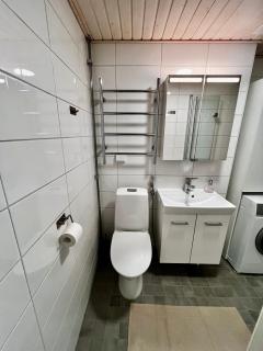 Viihtyisä ja valoisa kaksio - 3