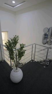 Crowned Comfort 2BR Terrace Duplex Pool & Gym - 5