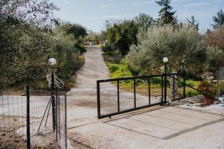 Lemon Dome, Luxury Glamping Dome in Crete - 6
