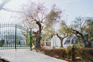 Lemon Dome, Luxury Glamping Dome in Crete - 4