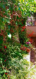 Duplex 3 rooms apartment with garden and garage near to beach - 7